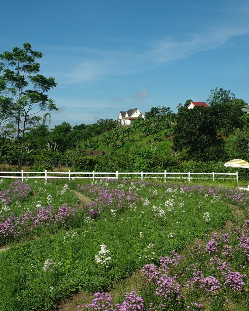 Hoa May Garden